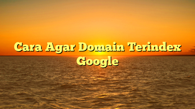 Cara Agar Domain Terindex Google